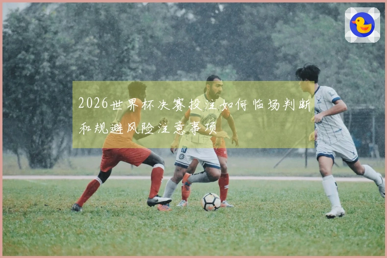 2026世界杯决赛投注如何临场判断和规避风险注意事项