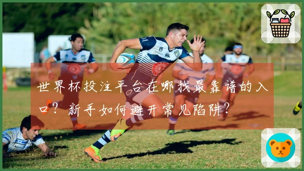 世界杯投注平台在哪找最靠谱的入口?新手如何避开常见陷阱?