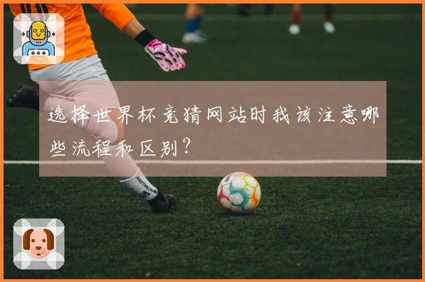 选择世界杯竞猜网站时我该注意哪些流程和区别？