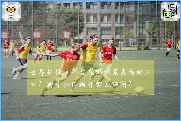 世界杯投注平台在哪找最靠谱的入口？新手如何避开常见陷阱？