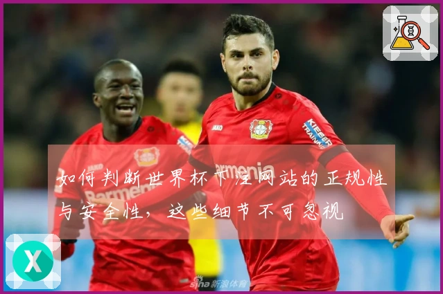 如何判断世界杯下注网站的正规性与安全性，这些细节不可忽视