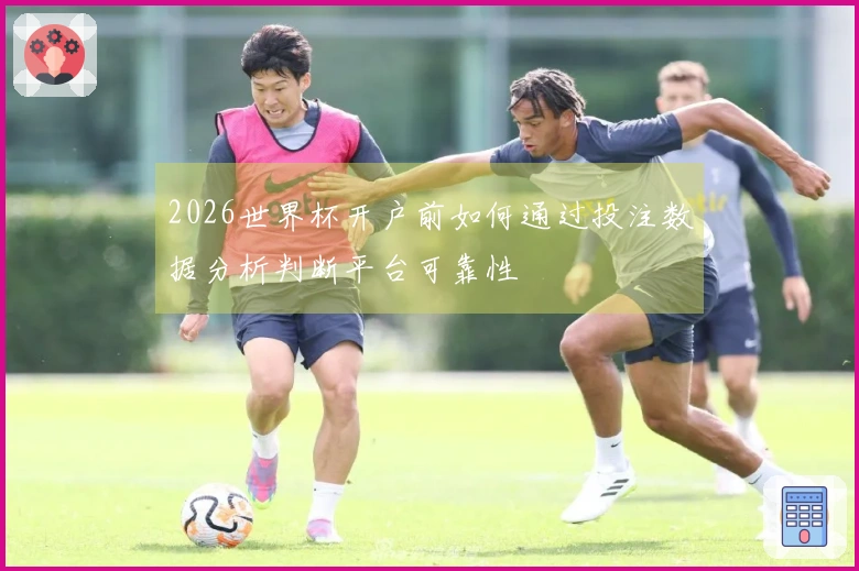 2026世界杯开户前如何通过投注数据分析判断平台可靠性