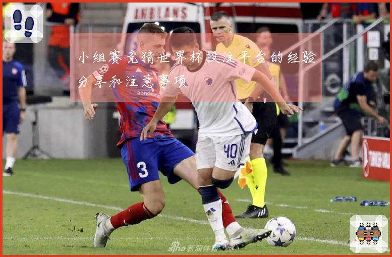 小组赛竞猜世界杯投注平台的经验分享和注意事项